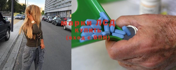 стаф Аркадак