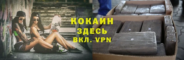стаф Аркадак