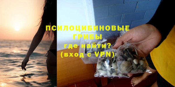 стаф Аркадак