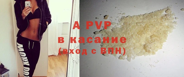 стаф Аркадак