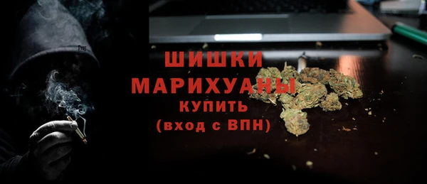 стаф Аркадак