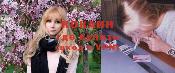 стаф Аркадак