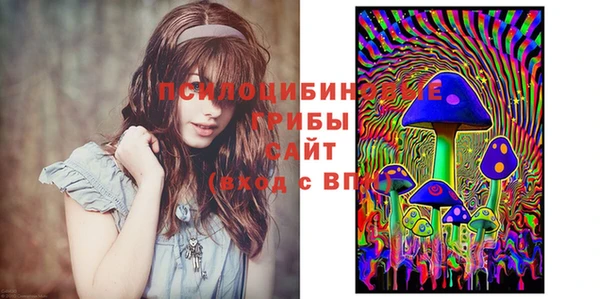 стаф Баксан