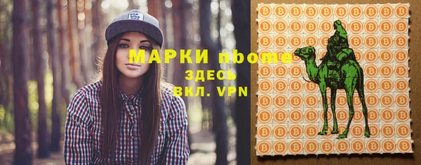 стаф Аркадак