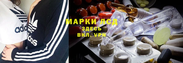 стаф Аркадак