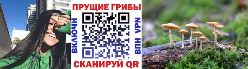 Галлюциногенные грибы прущие грибы  ссылка на мегу ссылка  Среднеуральск 